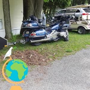 Meet your Posher, Todd